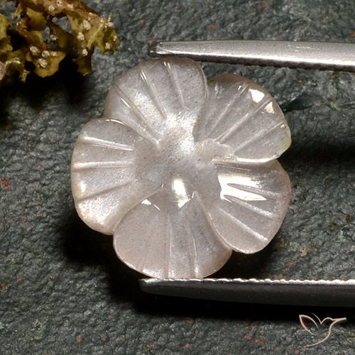 3.77ct Naturale Marrone Caramello Chiaro Pietra di luna, Taglio a fiore, Traslucido