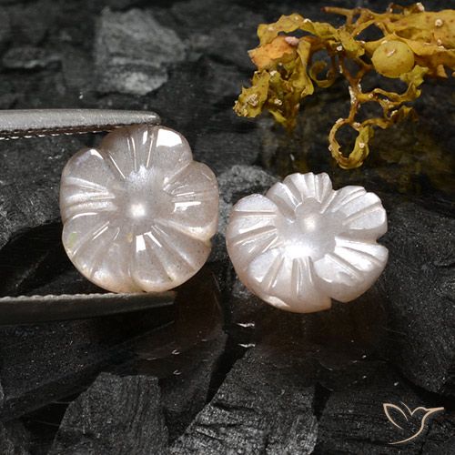 6.16ctw Naturale Marrone Molto Chiaro Pietra di luna, Taglio a fiore, Traslucido