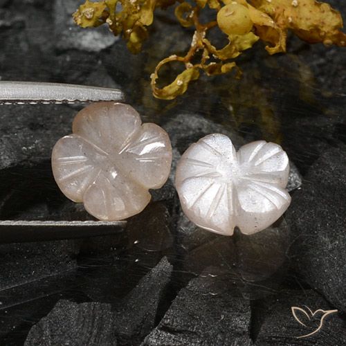 3.06ctw Naturale Marrone Molto Chiaro Pietra di luna, Taglio a fiore, Traslucido