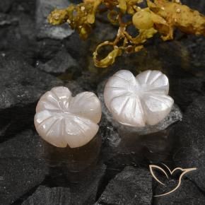 Gemme di Pietra di luna Marrone Molto Chiaro naturale da 3.06 ct, Taglio a fiore, Traslucido