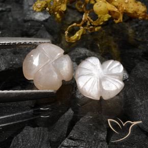 Gemme di Pietra di luna Marrone Molto Chiaro naturale da 3.06 ct, Taglio a fiore, Traslucido