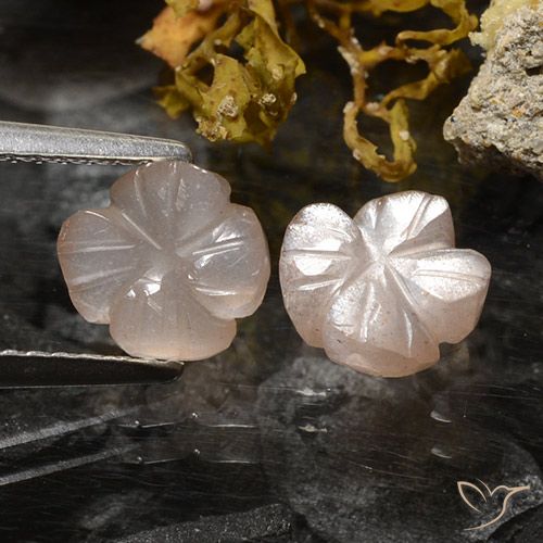2.36ctw Naturale Marrone Molto Chiaro Pietra di luna, Taglio a fiore, Traslucido