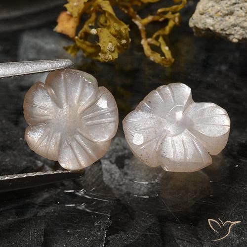 3.75ctw Naturale Marrone Caramello Chiaro Pietra di luna, Taglio a fiore, Traslucido