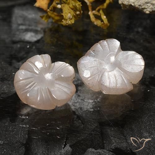 Gemme di Pietra di luna Marrone Caramello Chiaro naturale da 3.75 ct, Taglio a fiore, Traslucido
