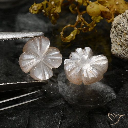 2.37ctw Naturale Marrone Caramello Chiaro Pietra di luna, Taglio a fiore, Traslucido