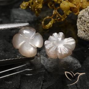 Gemme di Pietra di luna Marrone Caramello Chiaro naturale da 2.37 ct, Taglio a fiore, Traslucido