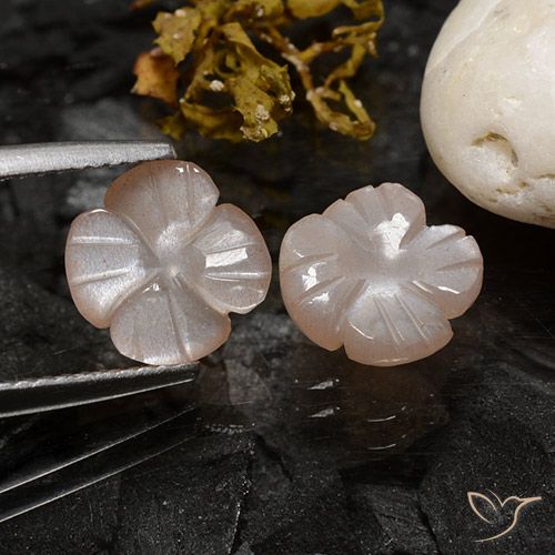 3.44ctw Naturale Marrone Caramello Chiaro Pietra di luna, Taglio a fiore, Traslucido