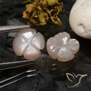 Gemme di Pietra di luna Marrone Caramello Chiaro naturale da 3.44 ct, Taglio a fiore, Traslucido
