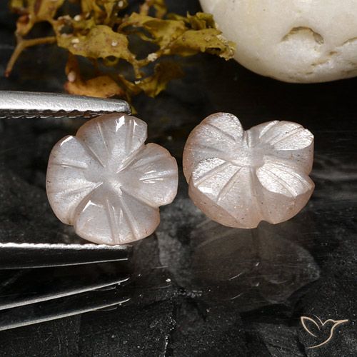 3.40ctw Naturale Rosa Molto Chiaro Pietra di luna, Taglio a fiore, Traslucido