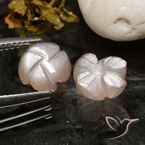 Gemme di Pietra di luna Rosa Molto Chiaro naturale da 3.40 ct, Taglio a fiore, Traslucido