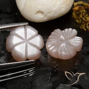 Gemme di Pietra di luna Marrone Chiaro naturale da 7.98 ct, Taglio a fiore, Traslucido