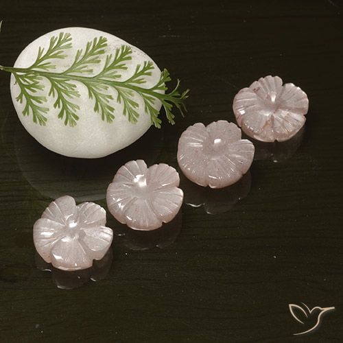 15.68ctw Naturale Rosa Molto Chiaro Pietra di luna, Taglio a fiore, Traslucido