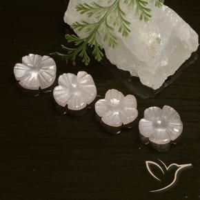 Gemme di Pietra di luna Rosa Molto Chiaro naturale da 5.66 ct, Taglio a fiore, Traslucido