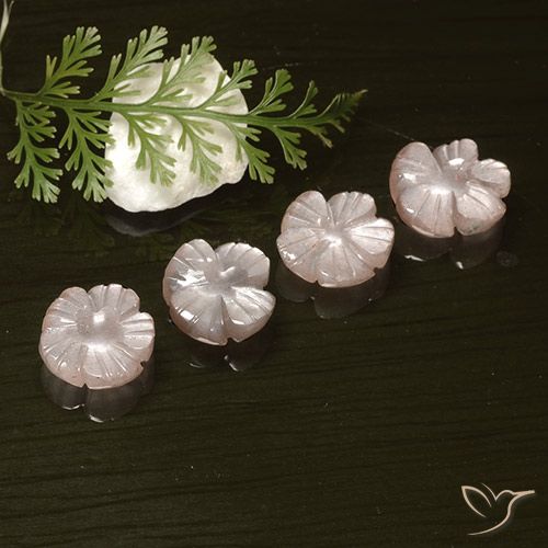 8.18ctw Naturale Rosa Molto Chiaro Pietra di luna, Taglio a fiore, Traslucido