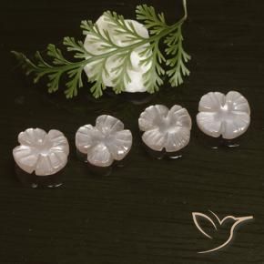 Gemme di Pietra di luna Rosa Molto Chiaro naturale da 5.72 ct, Taglio a fiore, Traslucido