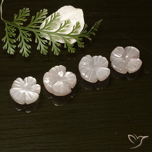 8.18ctw Naturale Rosa Molto Chiaro Pietra di luna, Taglio a fiore, Traslucido