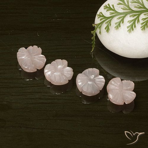 7.22ctw Naturale Rosa Molto Chiaro Pietra di luna, Taglio a fiore, Traslucido