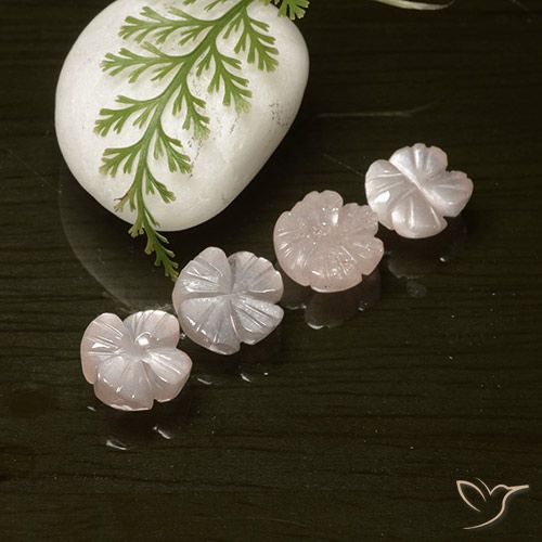 8.33ctw Naturale Rosa Molto Chiaro Pietra di luna, Taglio a fiore, Traslucido