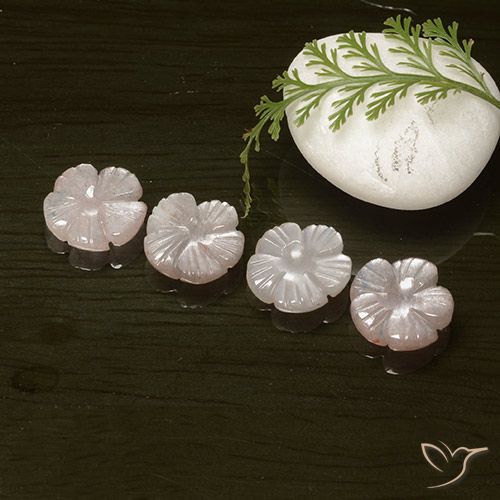 10.24ctw Naturale Rosa Molto Chiaro Pietra di luna, Taglio a fiore, Traslucido