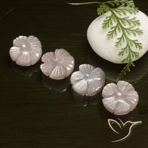 Gemme di Pietra di luna Marrone Molto Chiaro naturale da 19.49 ct, Taglio a fiore, Traslucido