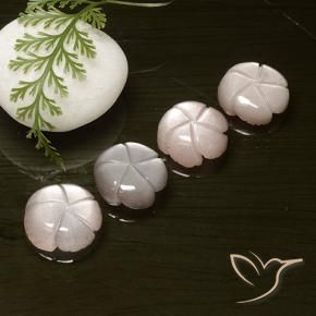 Gemme di Pietra di luna Marrone Molto Chiaro naturale da 19.49 ct, Taglio a fiore, Traslucido