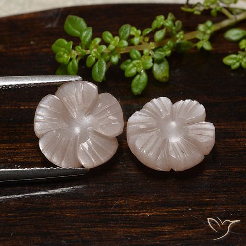 10.37ctw Naturale Marrone Caramello Chiaro Pietra di luna, Taglio a fiore, Traslucido
