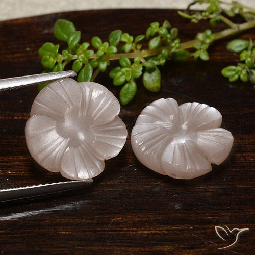 10.66ctw Naturale Marrone Caramello Chiaro Pietra di luna, Taglio a fiore, Traslucido