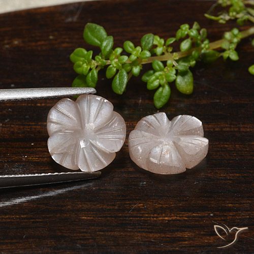 5.53ctw Naturale Marrone Caramello Chiaro Pietra di luna, Taglio a fiore, Traslucido