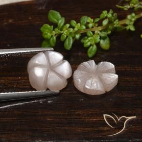Gemme di Pietra di luna Marrone Caramello Chiaro naturale da 5.53 ct, Taglio a fiore, Traslucido