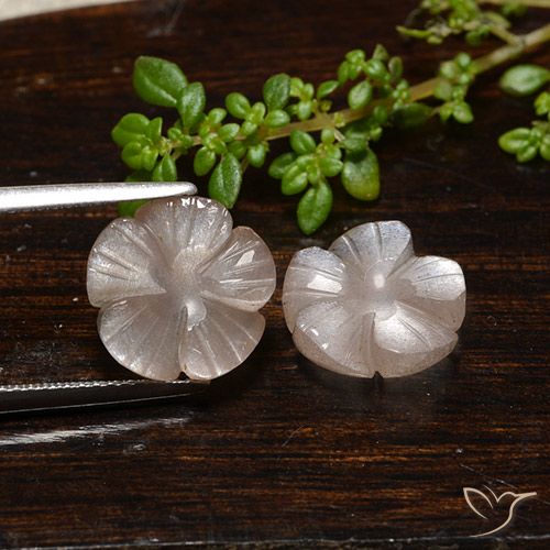 7.33ctw Naturale Marrone Molto Chiaro Pietra di luna, Taglio a fiore, Traslucido