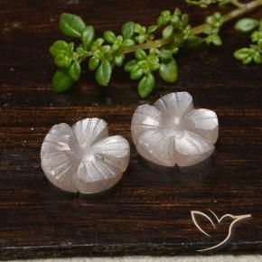 Gemme di Pietra di luna Marrone Molto Chiaro naturale da 7.33 ct, Taglio a fiore, Traslucido