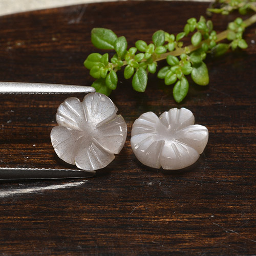 Pietra di luna naturale marrone da 5,11 ct, taglio fiore, traslucido