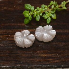 Pietra di luna naturale marrone da 5,11 ct, taglio fiore, traslucido