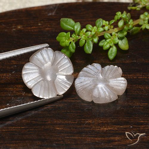 6.11ctw Naturale Marrone Molto Chiaro Pietra di luna, Taglio a fiore, Traslucido