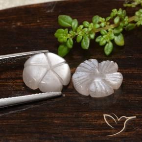 Gemme di Pietra di luna Marrone Molto Chiaro naturale da 6.11 ct, Taglio a fiore, Traslucido