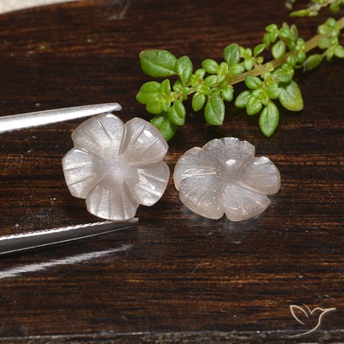 3.90ctw Naturale Marrone Molto Chiaro Pietra di luna, Taglio a fiore, Traslucido