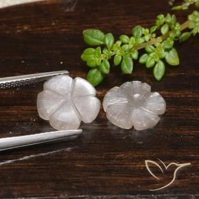 Gemme di Pietra di luna Marrone Molto Chiaro naturale da 3.90 ct, Taglio a fiore, Traslucido