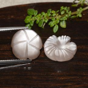 Pietra di luna naturale marrone da 9,95 ct, taglio fiore, traslucido