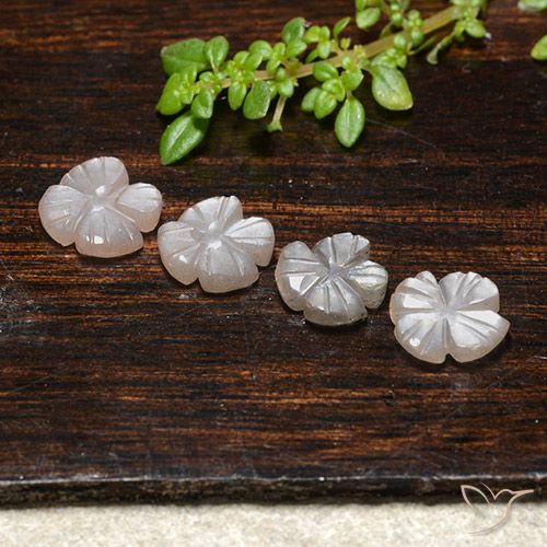 3.32ctw Naturale Marrone Molto Chiaro Pietra di luna, Taglio a fiore, Traslucido