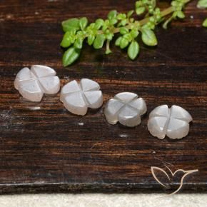 Gemme di Pietra di luna Marrone Molto Chiaro naturale da 3.32 ct, Taglio a fiore, Traslucido