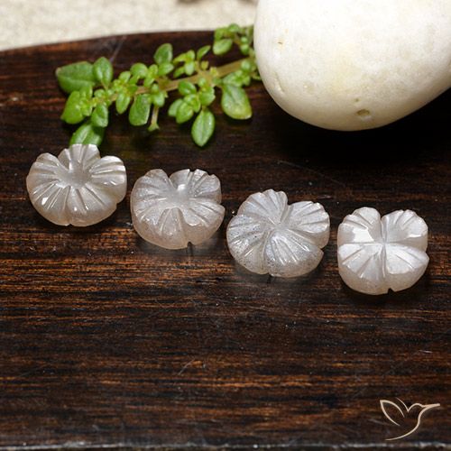 7.00ctw Naturale Marrone Caramello Chiaro Pietra di luna, Taglio a fiore, Traslucido
