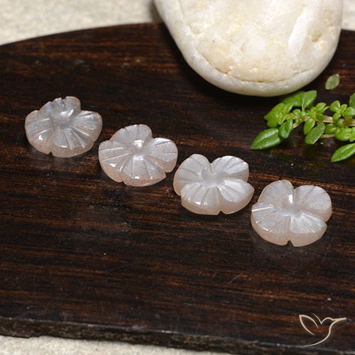 5.18ctw Naturale Marrone Caramello Chiaro Pietra di luna, Taglio a fiore, Traslucido
