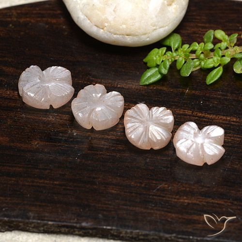 5.10ctw Naturale Marrone Molto Chiaro Pietra di luna, Taglio a fiore, Traslucido