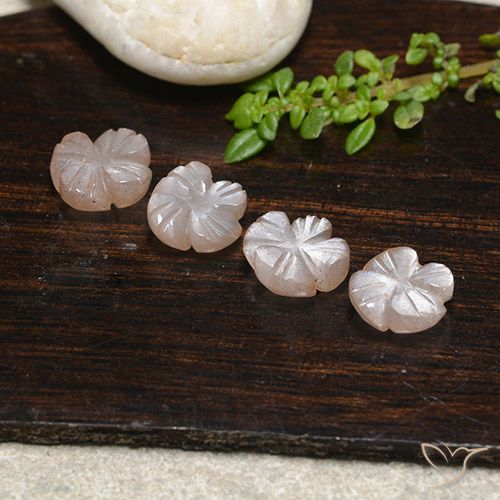 5.65ctw Naturale Marrone Caramello Chiaro Pietra di luna, Taglio a fiore, Traslucido