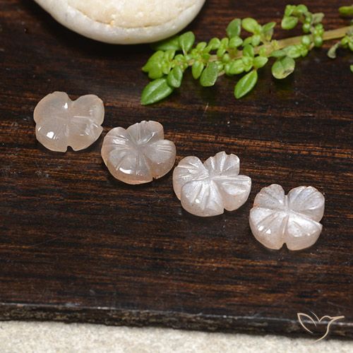 4.30ctw Naturale Marrone Caramello Chiaro Pietra di luna, Taglio a fiore, Traslucido