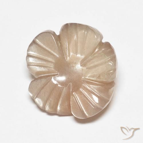 4.14ct Naturale Marrone Molto Chiaro Pietra di luna, Taglio a fiore, Traslucido