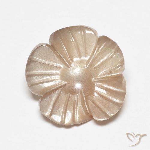 Pietra di luna Marrone Molto Chiaro naturale da 4.14 ct, Taglio a fiore, Traslucido