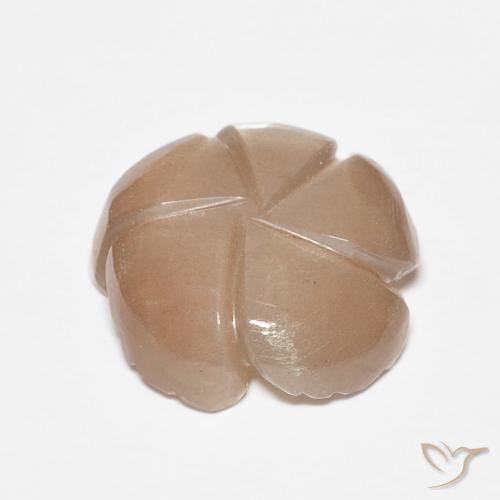 Pietra di luna Marrone Molto Chiaro naturale da 4.14 ct, Taglio a fiore, Traslucido