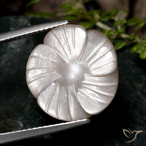 9.33ct Naturale Marrone chiaro Pietra di luna, Taglio a fiore, Traslucido