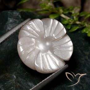 Pietra di luna Marrone chiaro naturale da 9.33 ct, Taglio a fiore, Traslucido